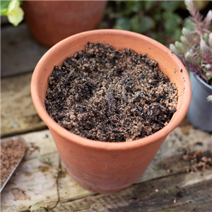 Horticultural Grit Sand Handy Pack